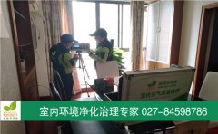 硚口區(qū)萬(wàn)科高爾夫城市花園新房甲醛治理 硚口區(qū)萬(wàn)科高爾夫城市花園新房甲醛治理