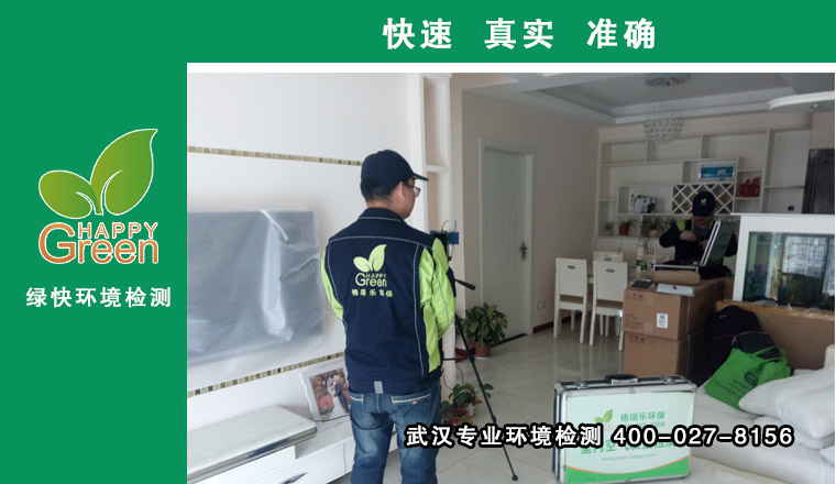 甲醛治理，甲醛污染，格瑞樂，武漢除甲醛，光谷水晶麗都