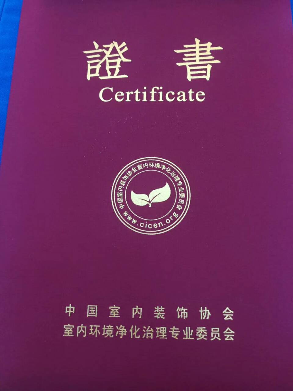 中國(guó)凈化委，湖北技術(shù)中心，王貴軍先生，副主任委員