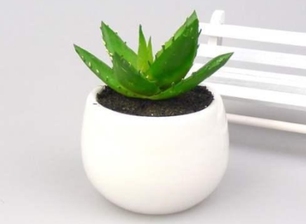 甲醛的克星是什么？