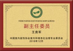 中國凈化委副主任委員