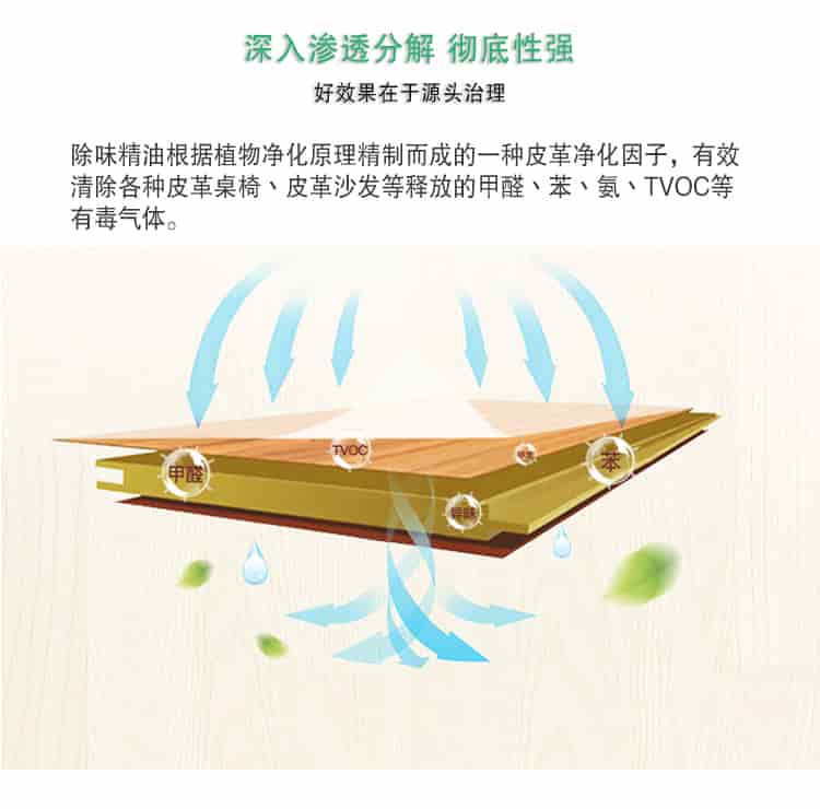 深入滲透分解 徹底性強(qiáng)，好效果在于源頭治理，除味精油根據(jù)植物凈化原理精制而成的一種皮革凈化因子，有效清除各種皮革桌椅丶皮革沙發(fā)等釋放的甲醛丶苯丶氨丶TVOC等 有毒氣體。