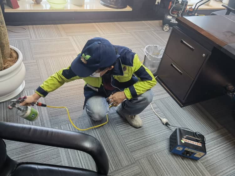 武漢新房快速除醛可信？格瑞樂拆套路